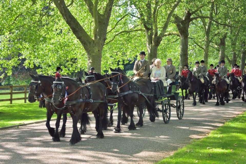 Guards Jester in the procession for Her Majesty the Queen’s 90th Birthday celebrations