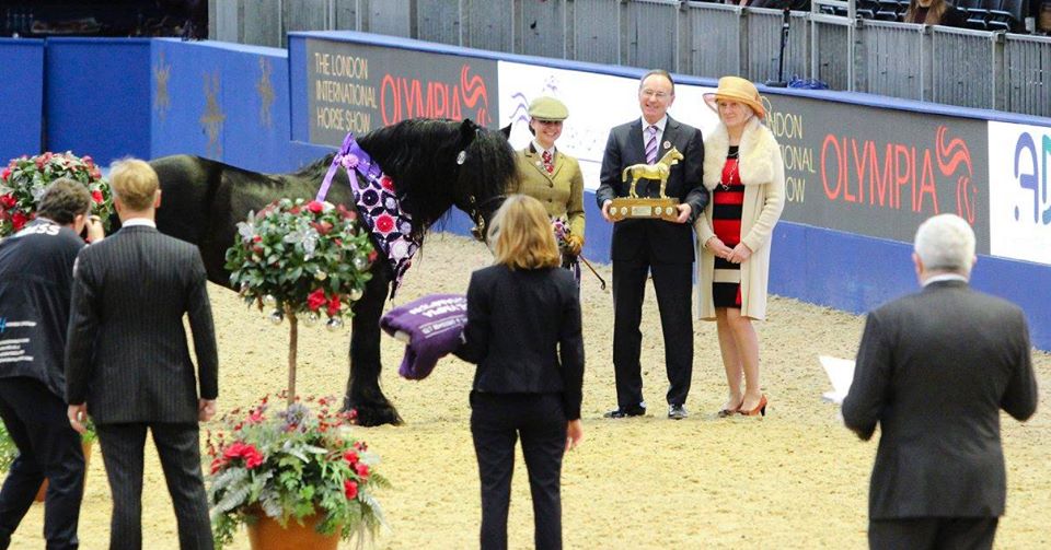 2015 London International Horse Show Guards Jester