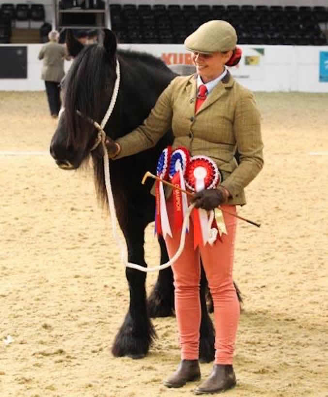 Knockamille Jasmine at Rare Breed of the Year Horse Show, where she won Overall Champion Fell Pony Jasmine 1a