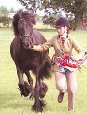 Shirdleyhill Tara, Champion Mare with Christina Brooks Shirdleyhill tara 2a