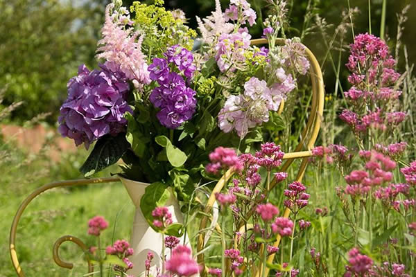 Flowers