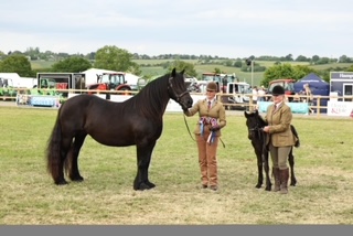 Murthwaite Sarah with Hemleyhill Elizabeth Supreme M and M in hand Champion Herts County Show 2023