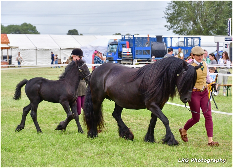Knockamille Jasmine with Hemleyhill Juniper Cherstsey Show 2023 2 Knockamille Jasmine and Hemleyhill Juniper Chertsey Show 2023