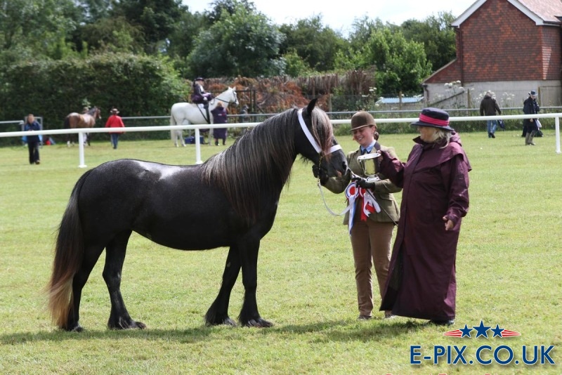 Bracklinn Myrtle Kent County 2024 Supreme MM Champion